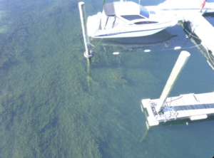 Wanaka Marina Weed Control